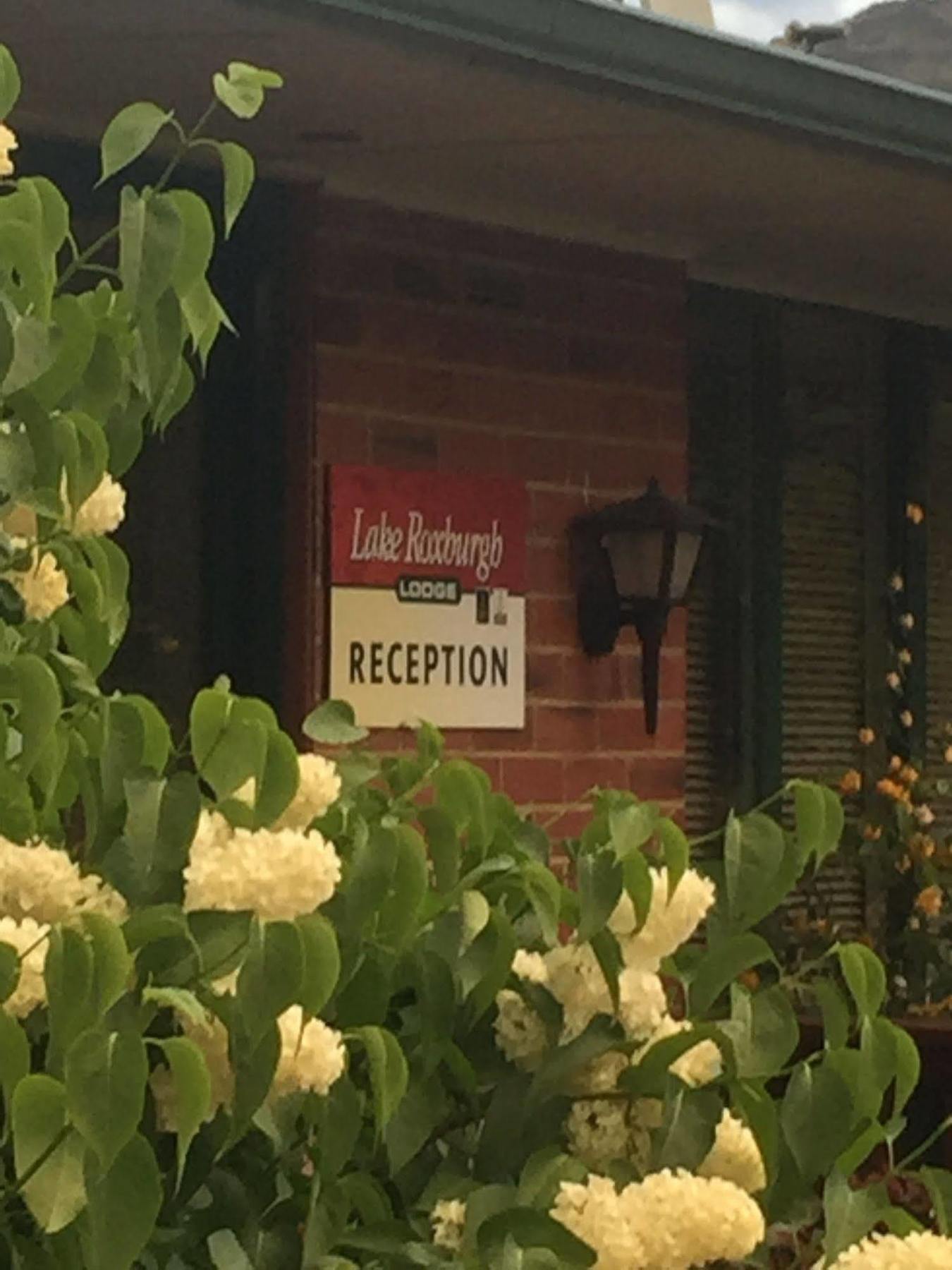 Lake Roxburgh Lodge Bagian luar foto